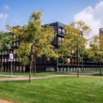 Zieleń na osiedlach - jak wpływa na cenę mieszkań?